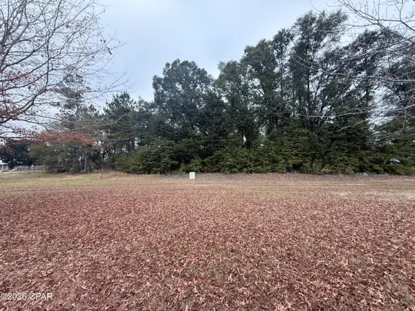 0 Hwy 90, Sneads, FL 32460