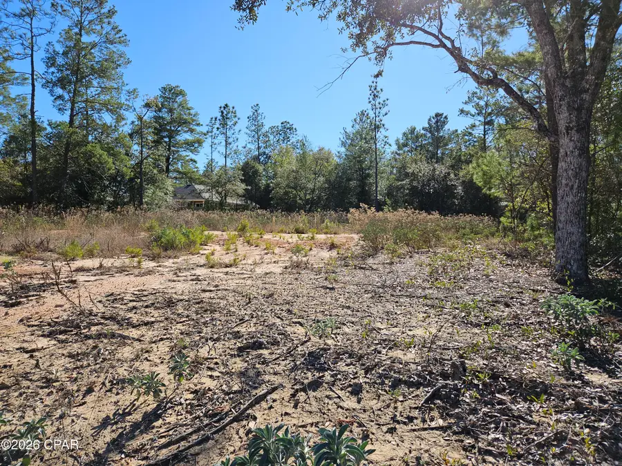 2245 Shenandoah Boulevard, Chipley, FL 32428 - Image #2