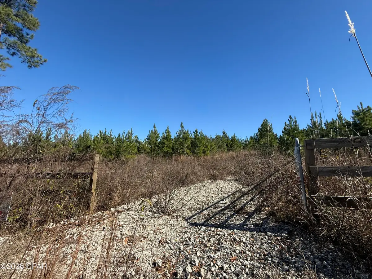 00 Tanner Road, Marianna, FL 32448 - Image #1