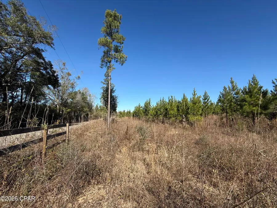 00 Tanner Road, Marianna, FL 32448 - Image #2