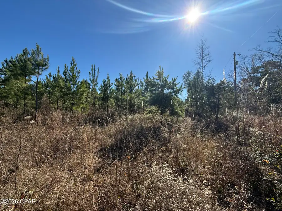 00 Tanner Road, Marianna, FL 32448 - Image #3
