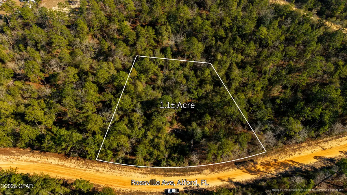 0 Rossville Avenue, Alford, FL 32420 - Image #1
