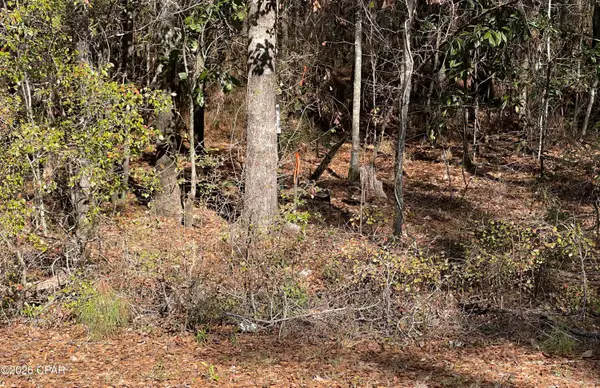 0 Jacob Main St. Street, Cottondale, FL 32431