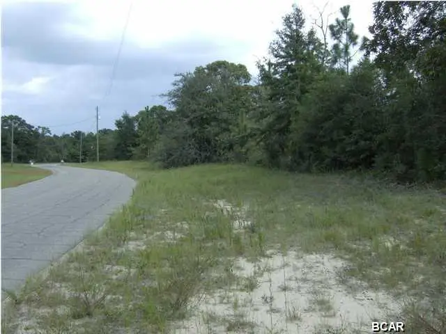 LOT 5 Darlington Drive, Chipley, FL 32428 - Image #2