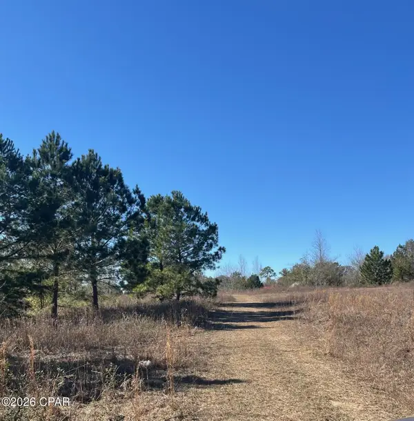 2889 Salem Church Road, Sneads, FL 32460