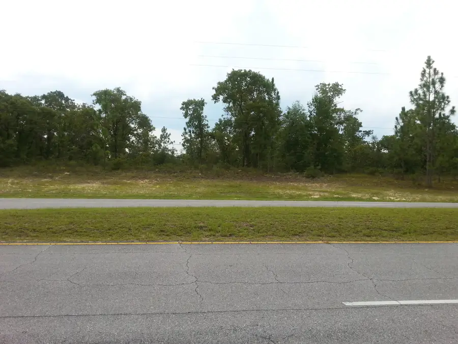 TBD Elkcam Boulevard, Chipley, FL 32428 - Image #2