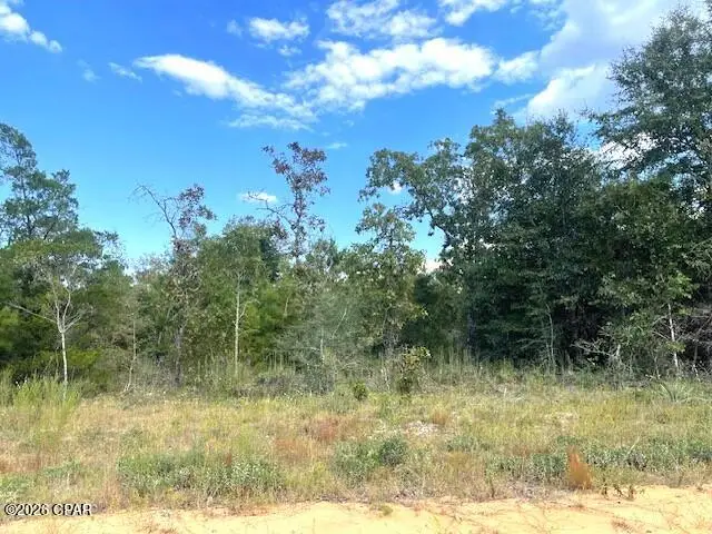 0 Fairway Drive, Marianna, FL 32446 - #2