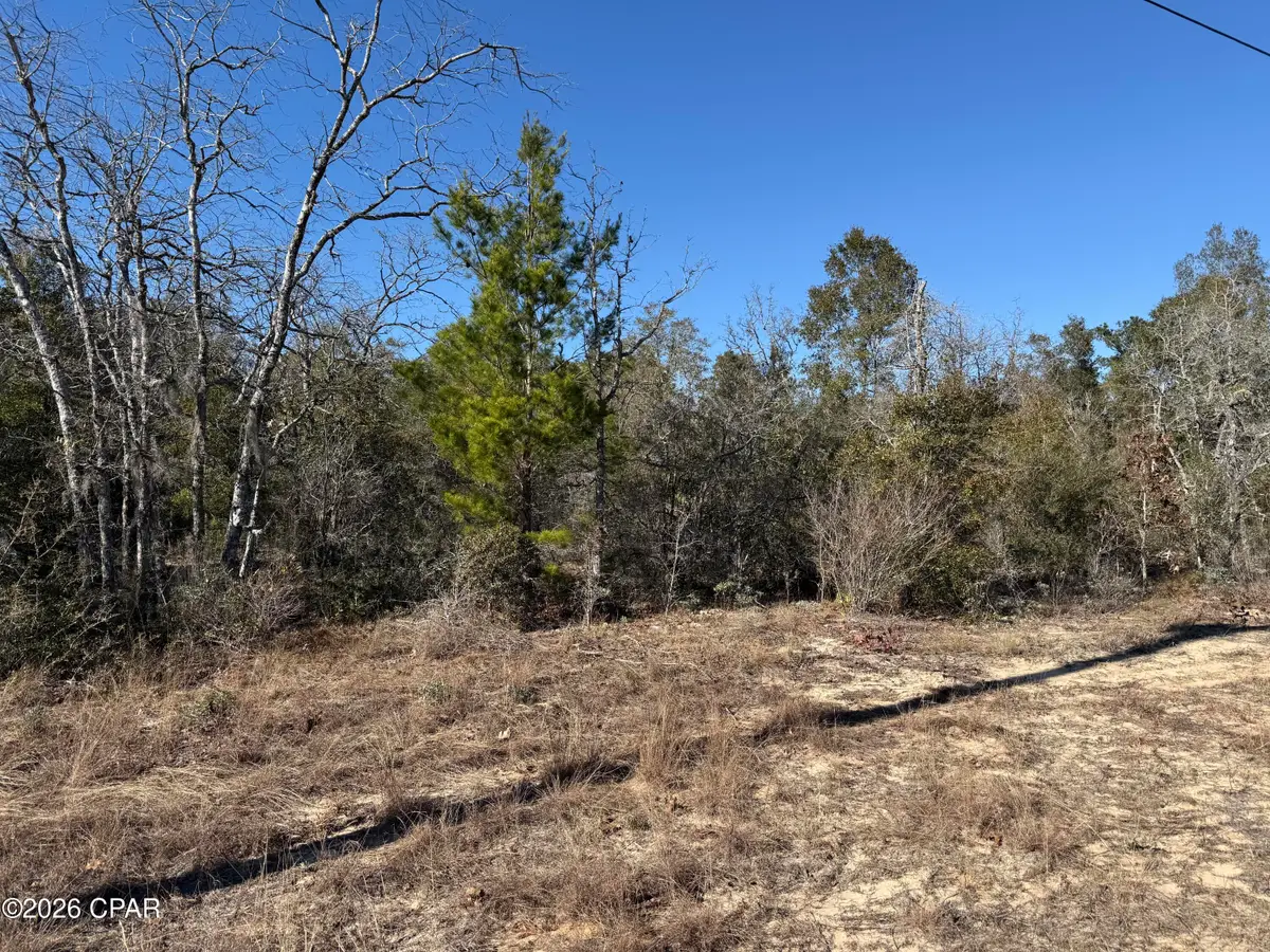 000 Birwood Court, Chipley, FL 32428 - #1