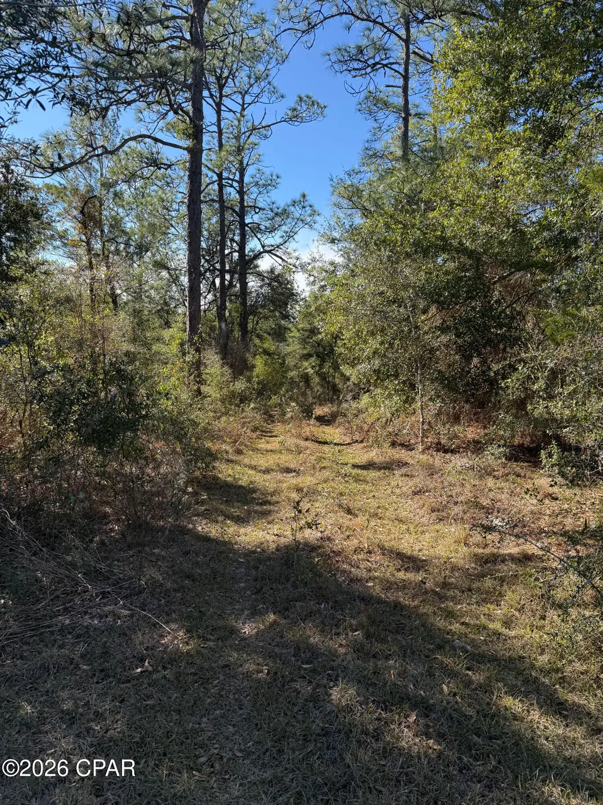 Lot 21 Grassy Pond Road, Chipley, FL 32428 - #1