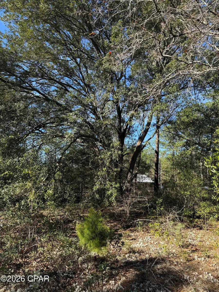 Lot 21 Grassy Pond Road, Chipley, FL 32428 - #3
