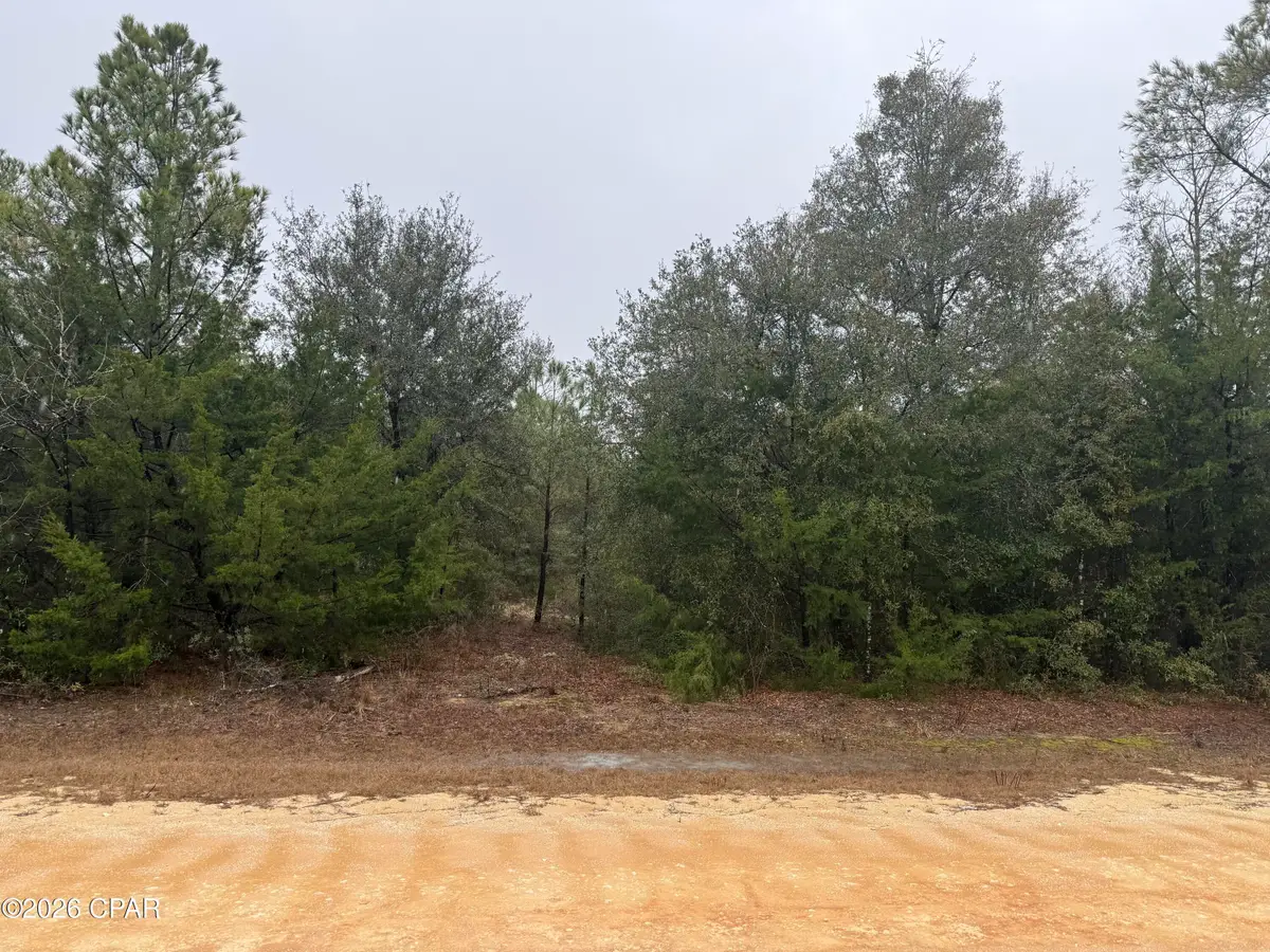 000 Elm Road, Marianna, FL 32448 - #1