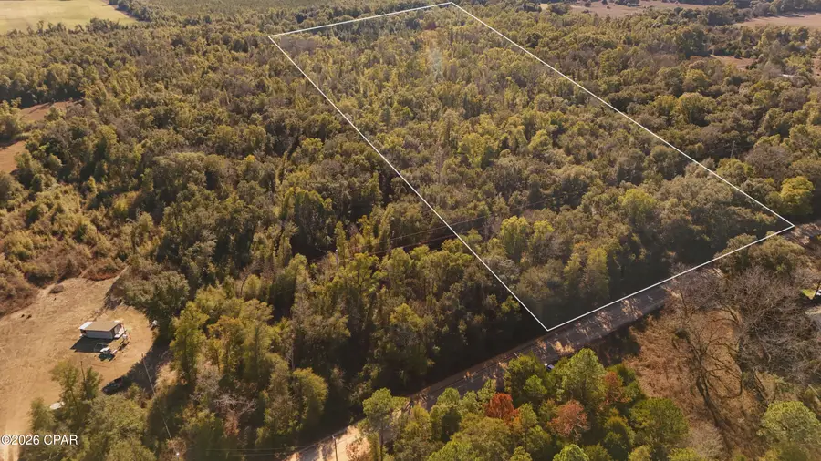 Lot 1 Oscar Road, Greenwood, FL 32443 - #3