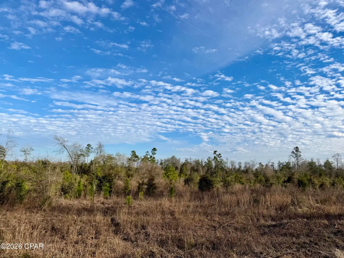 25 acres Davenport Road, Marianna, FL 32448 - #1