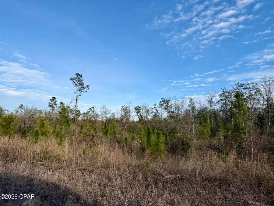 25 acres Davenport Road, Marianna, FL 32448 - #2