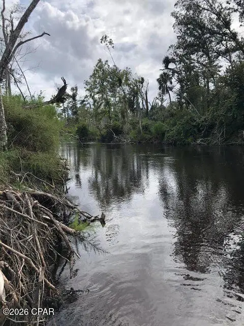 00 E Green Branch Road, Youngstown, FL 32466 - #3