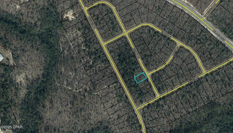 Lot 14 Dunlap Drive, Chipley, FL 32428 - #2