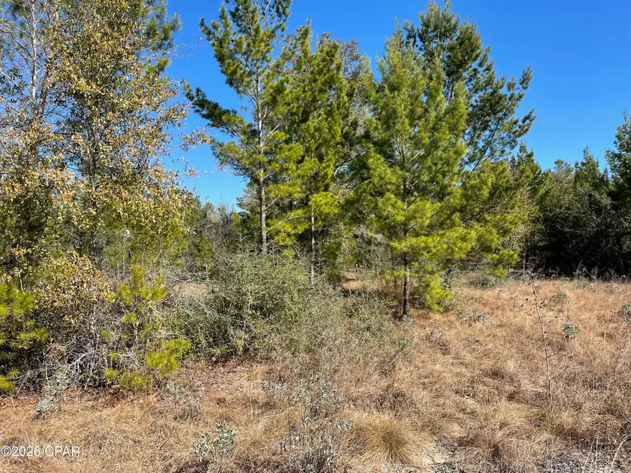 00000 Velvet Drive, Chipley, FL 32428 - #2