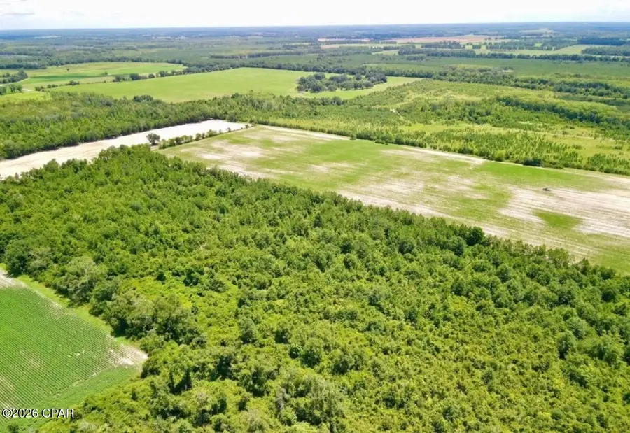 0 Peanut Road, Cottondale, FL 32431 - #3
