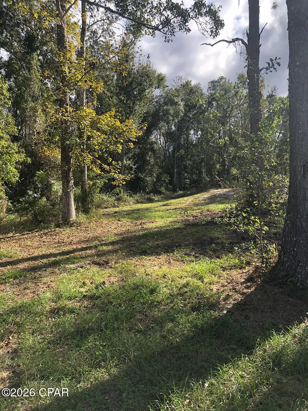 7322 E Max Fleming Road, Wewahitchka, FL 32465 - #1