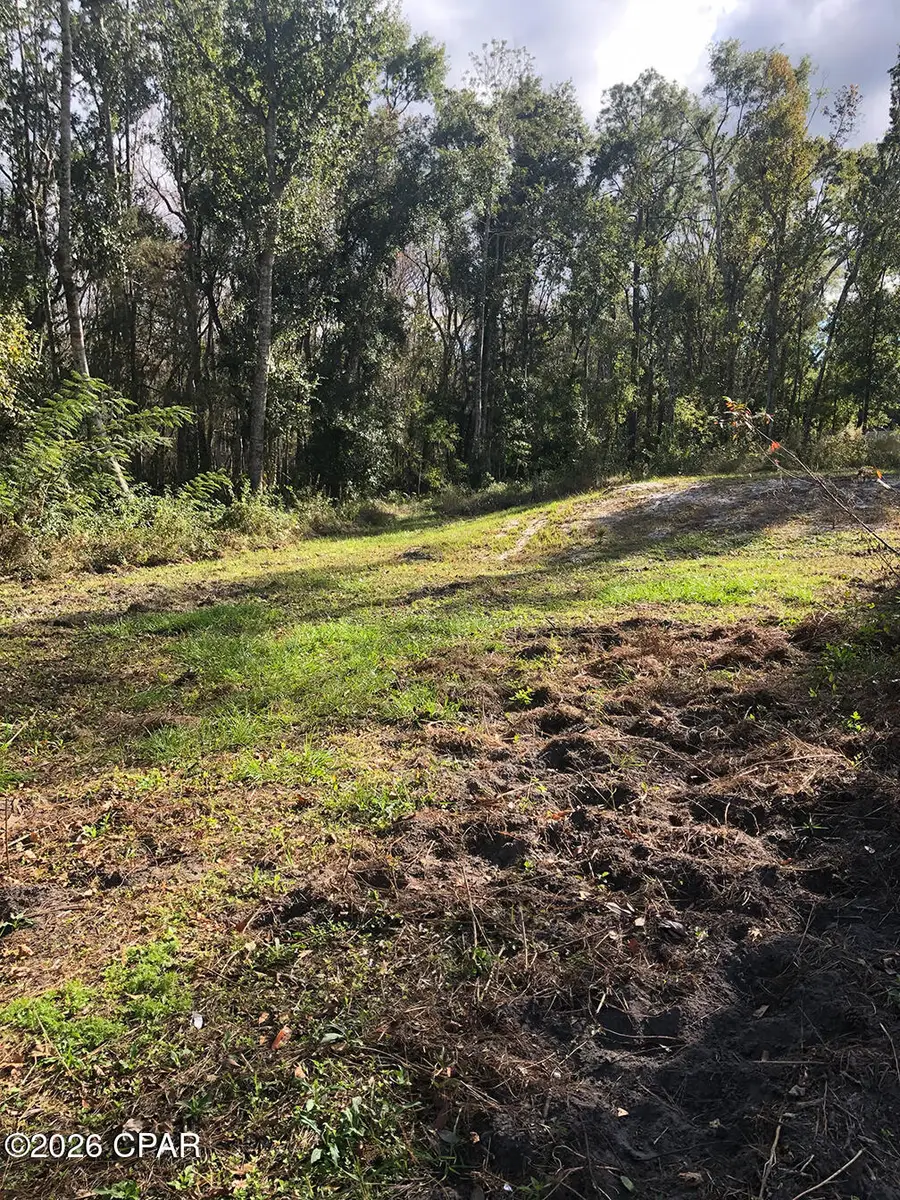 7322 E Max Fleming Road, Wewahitchka, FL 32465 - #2