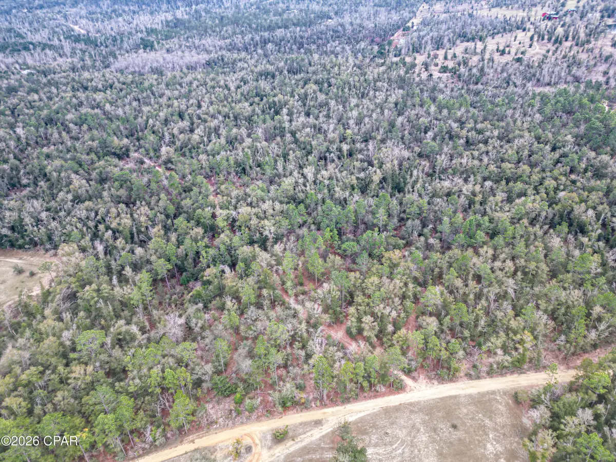 3340 Varsey Lane, Marianna, FL 32448 - Image #1