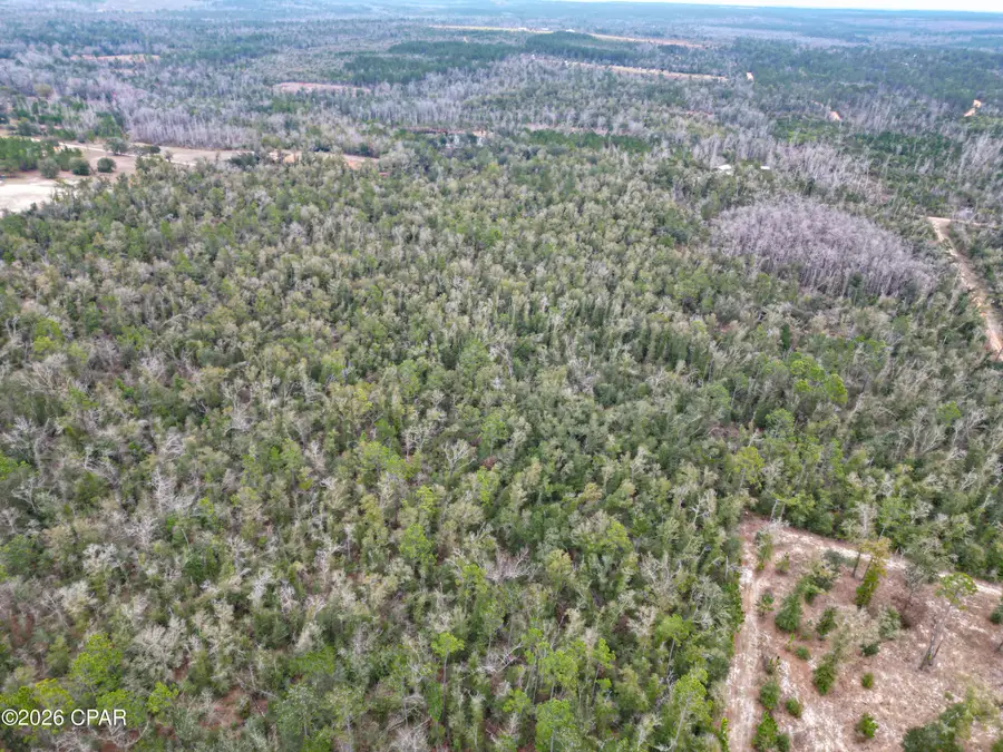 3340 Varsey Lane, Marianna, FL 32448 - Image #2