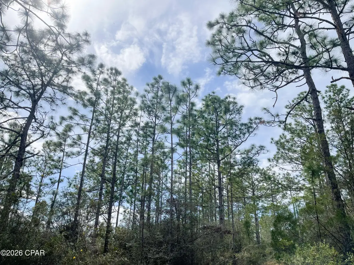 3340 Varsey Lane, Marianna, FL 32448 - #1