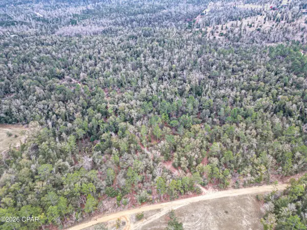 3340 Varsey Lane, Marianna, FL 32448