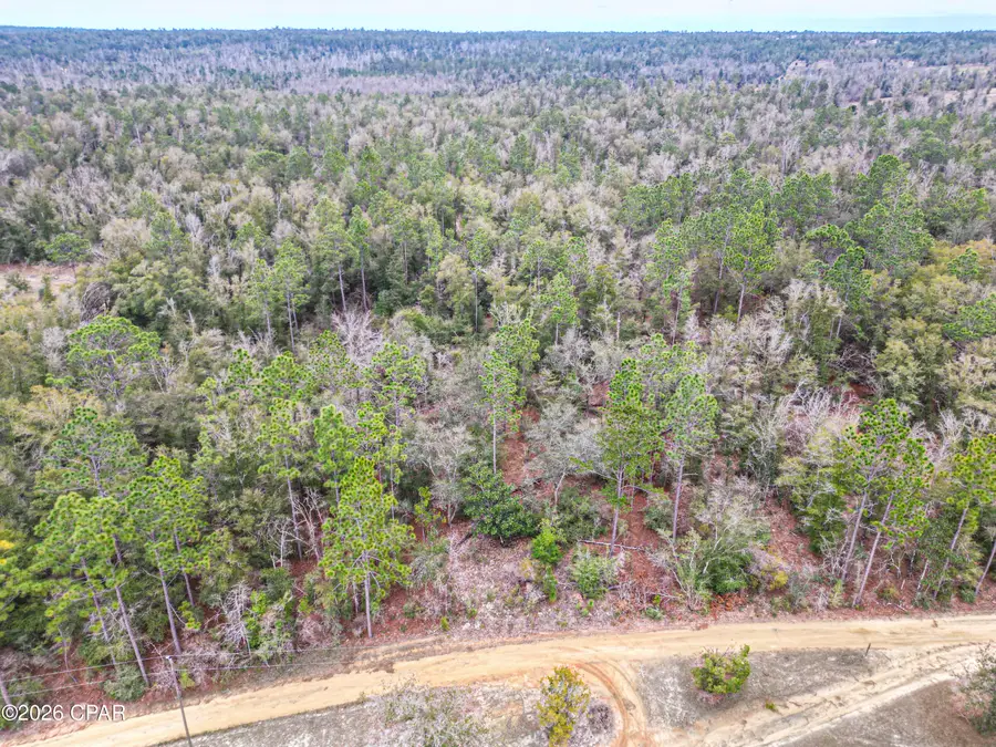 3340 Varsey Lane, Marianna, FL 32448 - #3