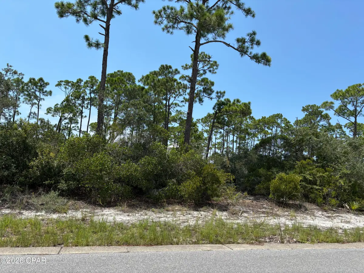 207 Signal Lane, Port Saint Joe, FL 32456 - #1