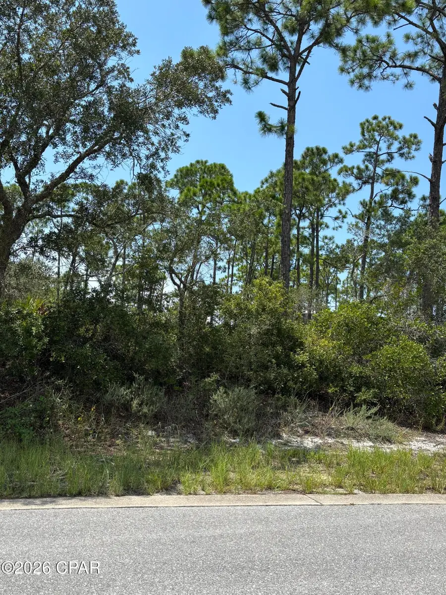 207 Signal Lane, Port Saint Joe, FL 32456 - #3