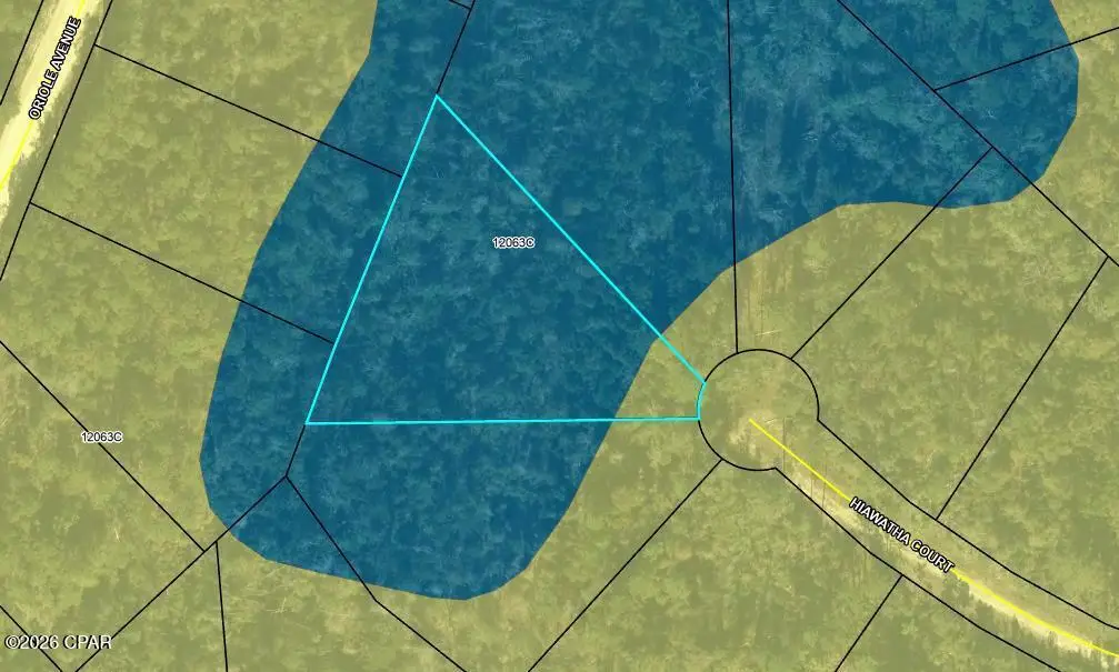 00 Hiawatha Court, Marianna, FL 32448 - #1