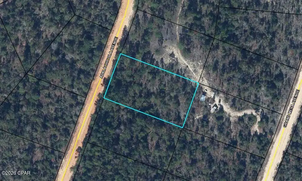 00 Apalachicola Avenue, Alford, FL 32420 - #1