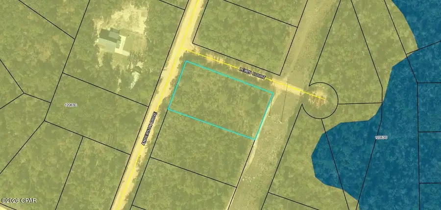 00 Lewis Court, Alford, FL 32420 - #2