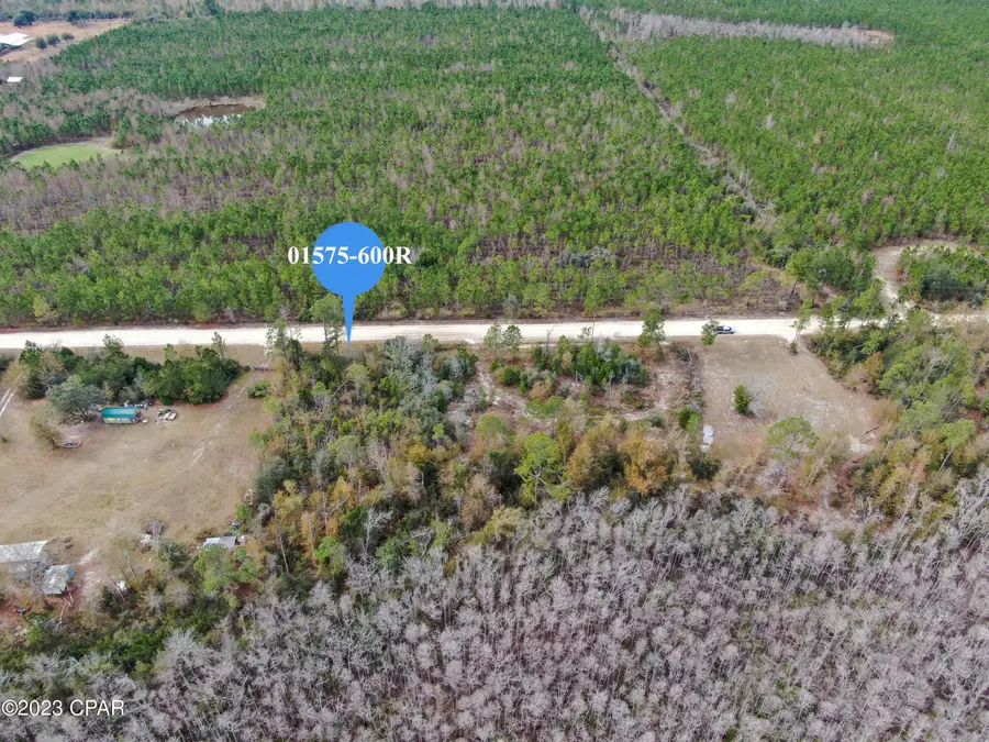 706 Dead Lakes Drive, Wewahitchka, FL 32465 - #3