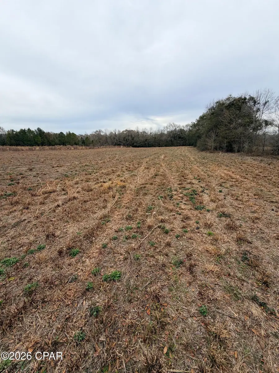 TBD Jj Whitaker Rd, Bonifay, FL 32425 - #2
