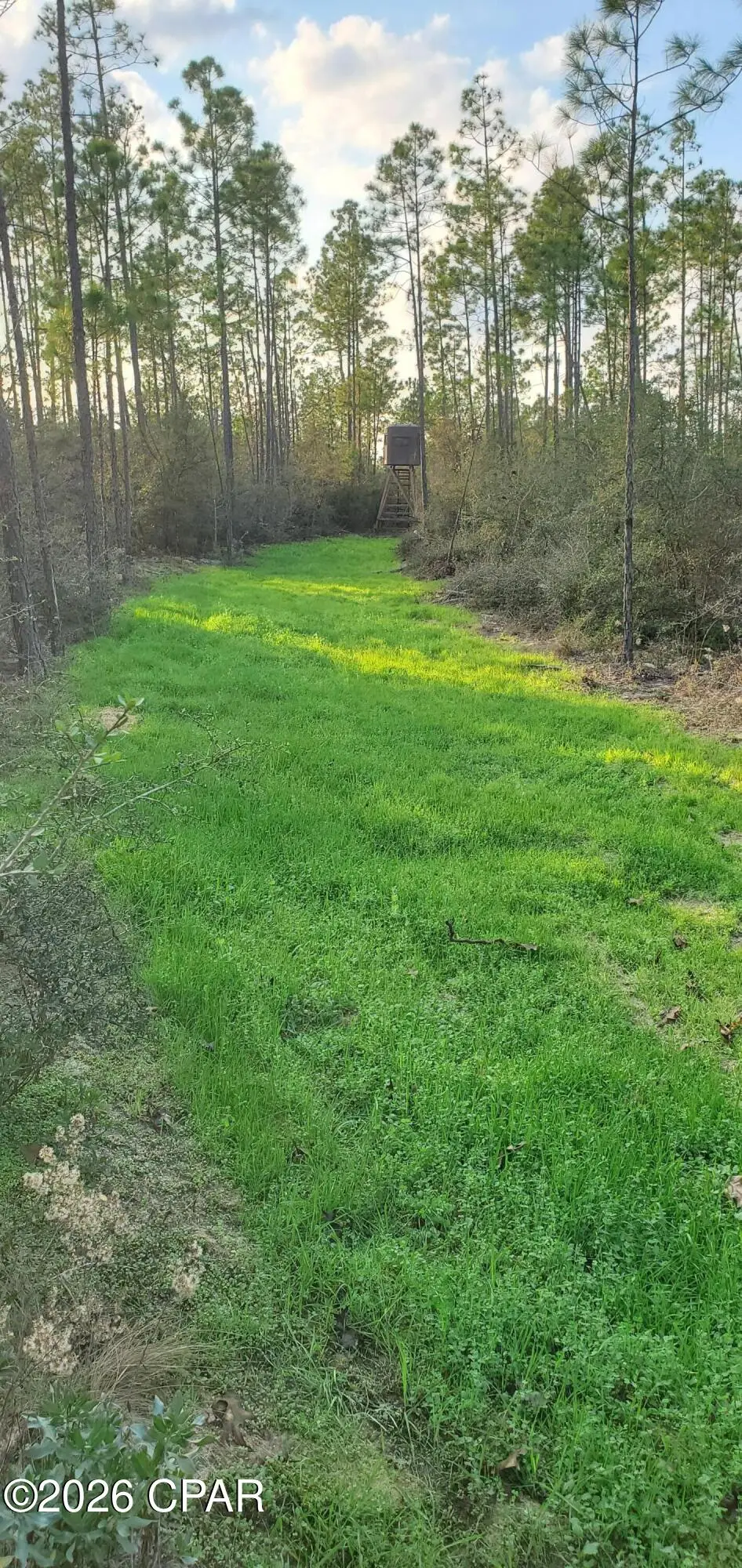 00 Elkcam Boulevard, Southport, FL 32409 - #1