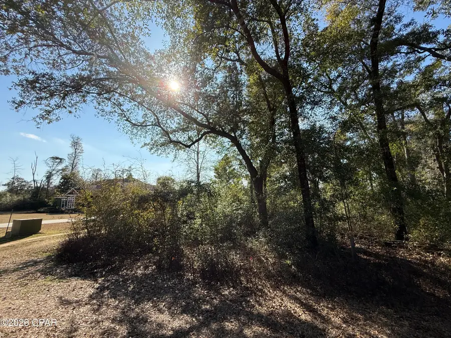 0001 Appalachee Trail, Marianna, FL 32446 - #3