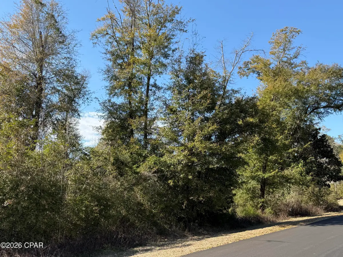 0003 Appalachee Trail, Marianna, FL 32446 - #1