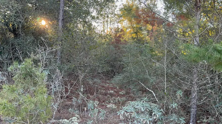 Lot 4 Shenandoah Boulevard, Chipley, FL 32428 - #3