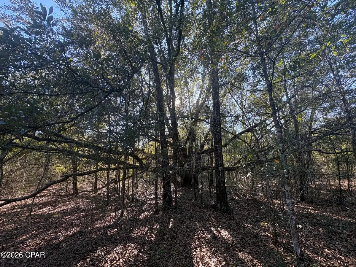 lot 55 Owl Court, Marianna, FL 32448 - #1