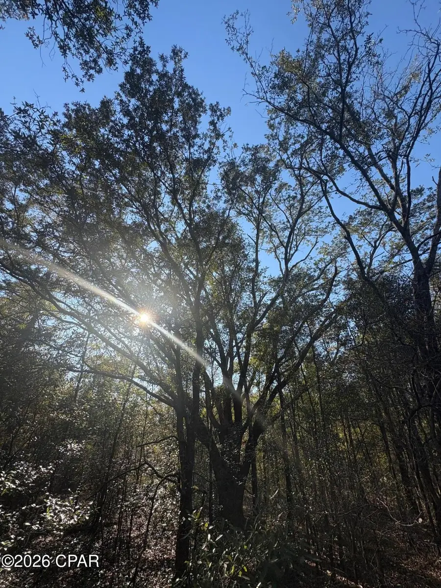 lot 55 Owl Court, Marianna, FL 32448 - #3