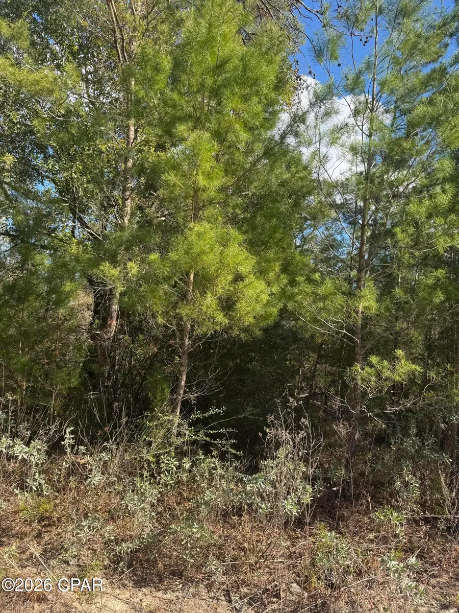 0000 Jamaica Circle, Chipley, FL 32428 - #3