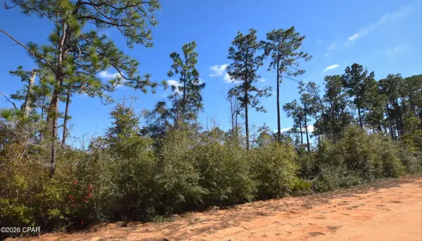 XXX Fairborn Avenue, Alford, FL 32420