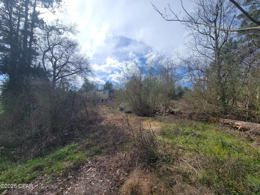 2905 Circle T Way, Marianna, FL 32448 - #3