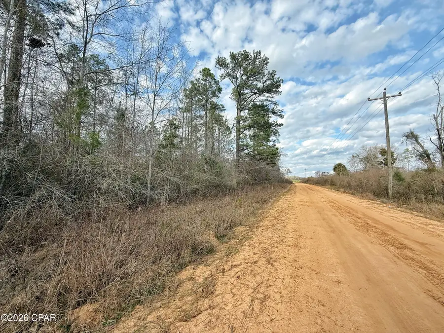 1718 Palmview Road, Cottondale, FL 32431 - #2