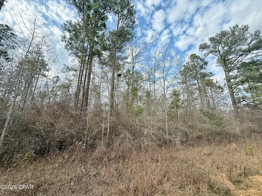 1718 Palmview Road, Cottondale, FL 32431 - #3