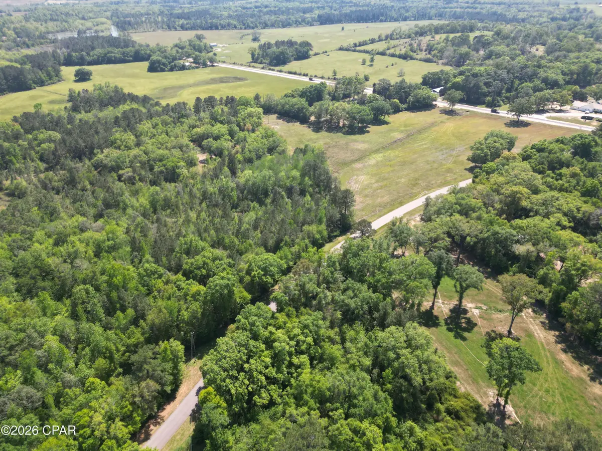 1683 Highway 162, Westville, FL 32464 - #1