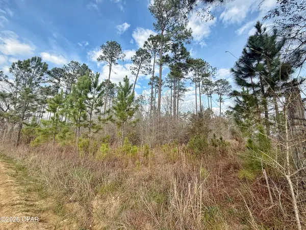 00 Palmview Lane, Cottondale, FL 32431