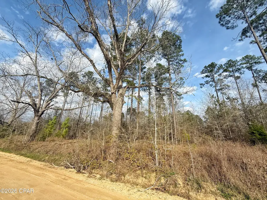 00 Palmview Lane, Cottondale, FL 32431 - #2